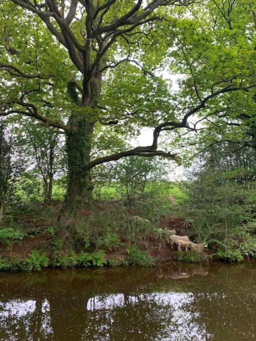 Вилла Mountain Views In The Heart Of Brecon Town Экстерьер фото